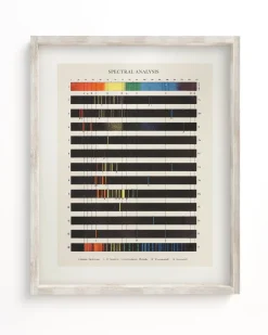 Cognitive Surplus Electromagnetic Spectra Scientific Illustration Museum Print* Wall Art | Physics