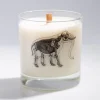 Cognitive Surplus Elephant Bones Cocktail Candle* Candles | Biology