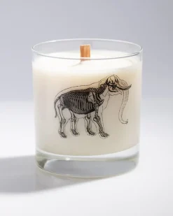 Cognitive Surplus Elephant Bones Cocktail Candle* Candles | Biology