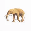 Cognitive Surplus Elephant Sticker* Stickers | Biology