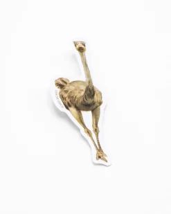 Cognitive Surplus Emu Bird Sticker* Stickers | Ornithology