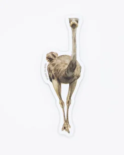 Cognitive Surplus Emu Bird Sticker* Stickers | Ornithology
