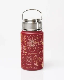 Cognitive Surplus Equations that Changed the World Travel Mug | * Travel Mugs | Water Bottles