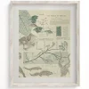 Cognitive Surplus Evolution Museum Print | Biology Gift* Wall Art | Ornithology