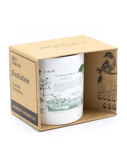 Cognitive Surplus Evolution Science Mug 20 oz | Biology Gifts* Mugs | Ornithology
