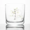 Cognitive Surplus Evolution Tree of Life Whiskey Glass - Scotch Glass | * Rocks Glasses | Biology