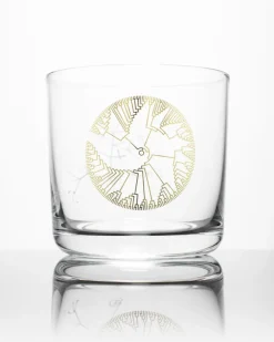 Cognitive Surplus Evolution Tree of Life Whiskey Glass - Scotch Glass | * Rocks Glasses | Biology