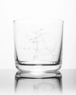 Cognitive Surplus Evolution Tree of Life Whiskey Glass - Scotch Glass | * Rocks Glasses | Biology