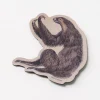 Cognitive Surplus Existential Sloth Magnet* Magnets | Biology