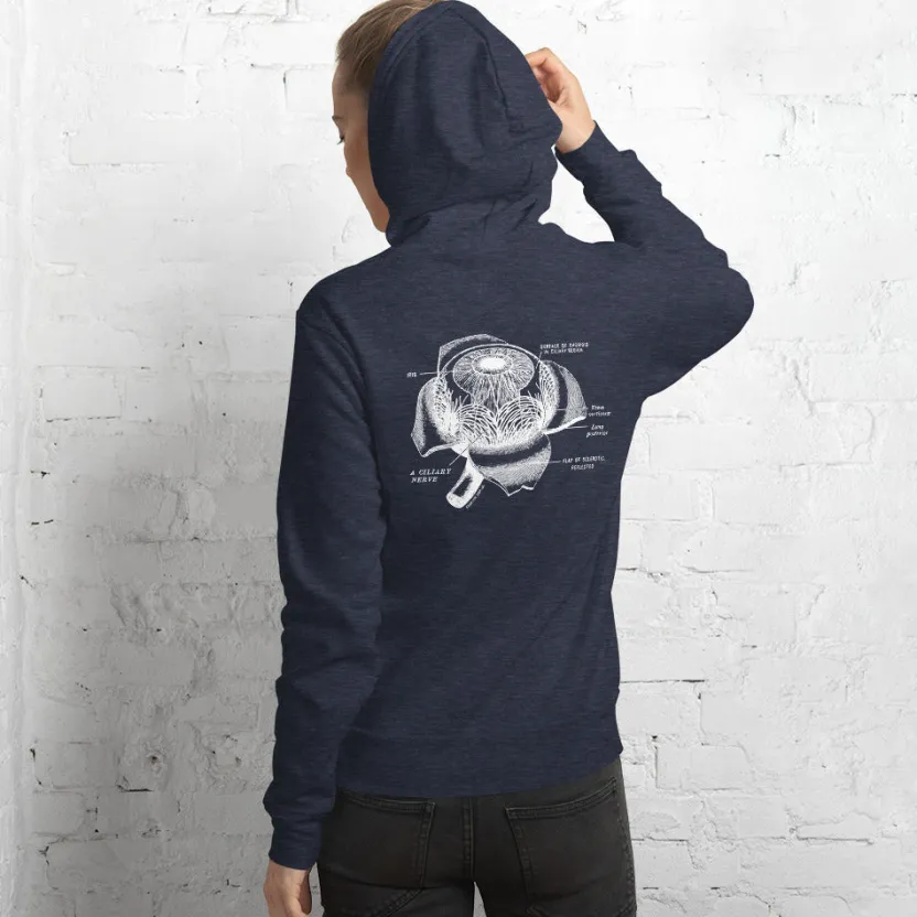 Cognitive Surplus Eye Anatomy Hoodie* Hoodies | Medicine