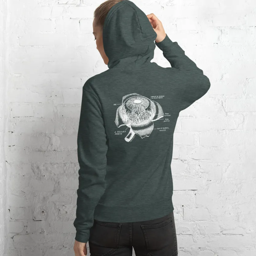 Cognitive Surplus Eye Anatomy Hoodie* Hoodies | Medicine