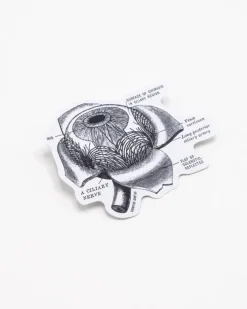 Cognitive Surplus Eye Anatomy Sticker* Stickers | Medicine