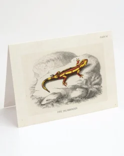 Cognitive Surplus Fire Salamander Herpetology Card - Sceince Greeting Card | * Greeting Cards | Biology