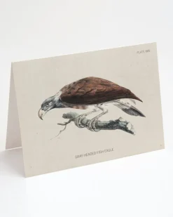 Cognitive Surplus Fish Eagle Bird Card - Ornithology Stationery | * Greeting Cards | Ornithology