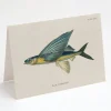 Cognitive Surplus Flying Fish Greeting Card - Science Stationery | * Greeting Cards | Marine Biology