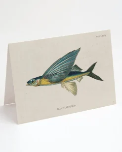 Cognitive Surplus Flying Fish Greeting Card - Science Stationery | * Greeting Cards | Marine Biology