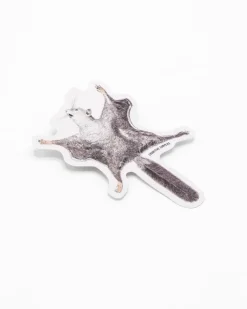 Cognitive Surplus Flying Squirrel Sticker* Stickers | Biology