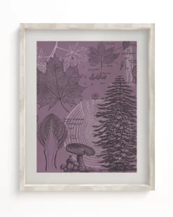 Cognitive Surplus Forest at Dusk Museum Print | Biology Art* Wall Art | Botany