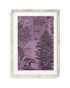 Cognitive Surplus Forest at Dusk Museum Print | Biology Art* Wall Art | Botany