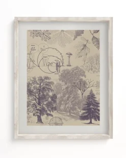 Cognitive Surplus Forest Nutrients Museum Print | Botany Print* Wall Art | Botany