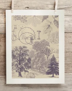 Cognitive Surplus Forest Nutrients Museum Print | Botany Print* Wall Art | Botany