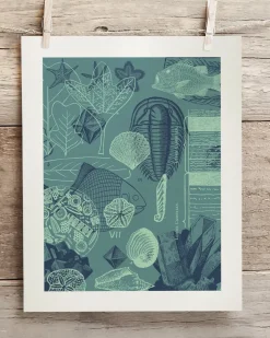 Cognitive Surplus Fossils Museum Print | Marine Biology Art* Wall Art | Paleontology