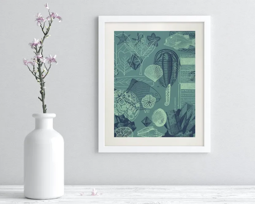 Cognitive Surplus Fossils Museum Print | Marine Biology Art* Wall Art | Paleontology