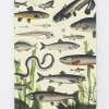 Cognitive Surplus Freshwater Fish Softcover Notebook - Dot Grid* The Experiment | Marine Biology
