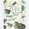 Cognitive Surplus Frogs & Toads Hardcover Notebook - Dot Grid* The Hypothesis | Marine Biology