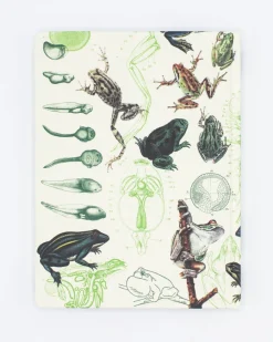 Cognitive Surplus Frogs & Toads Hardcover Notebook - Dot Grid* The Hypothesis | Marine Biology
