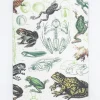 Cognitive Surplus Frogs & Toads Softcover Notebook - Lined* The Experiment | Marine Biology