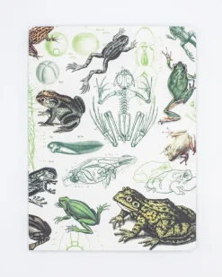 Cognitive Surplus Frogs & Toads Softcover Notebook - Lined* The Experiment | Marine Biology