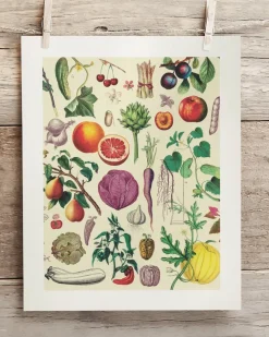 Cognitive Surplus Fruit & Vegetables Scientific Illustration Museum Print* Wall Art | Kitchen Science