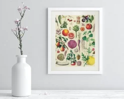 Cognitive Surplus Fruit & Vegetables Scientific Illustration Museum Print* Wall Art | Kitchen Science