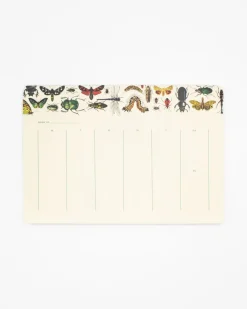 Cognitive Surplus Garden Friends Notepads - Entomology Market Pad | * Notepads | Entomology