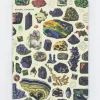 Cognitive Surplus Gems & Minerals Hardcover - Blank* The Theory | Geology + Earth Science