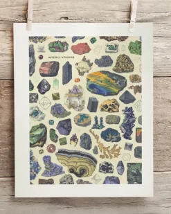 Cognitive Surplus Gems & Minerals Museum Print | Geology Gift* Wall Art | Geology + Earth Science