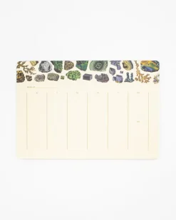Cognitive Surplus Gems & Minerals Notepads - Vintage Science Pad | * Notepads | Geology + Earth Science
