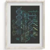 Cognitive Surplus Genetics: DNA Museum Print | Pharmacist Gift* Wall Art | Microbiology