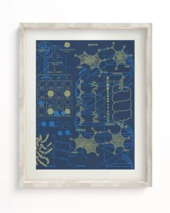 Cognitive Surplus Genetics: DNA Museum Print | Pharmacist Gift* Wall Art | Microbiology