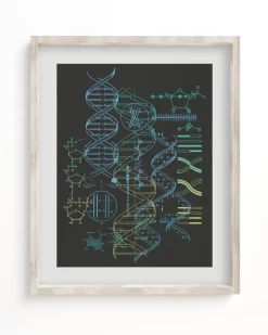 Cognitive Surplus Genetics: DNA Museum Print | Pharmacist Gift* Wall Art | Microbiology