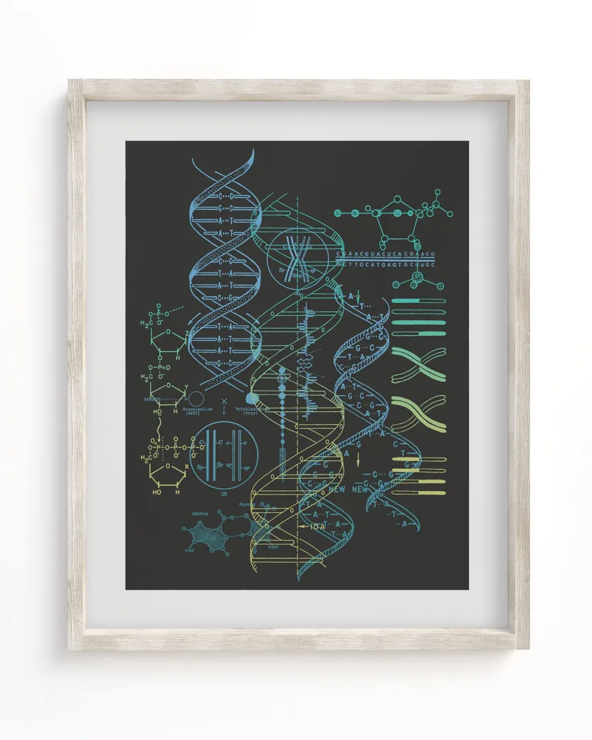 Cognitive Surplus Genetics: DNA Museum Print | Pharmacist Gift* Wall Art | Microbiology
