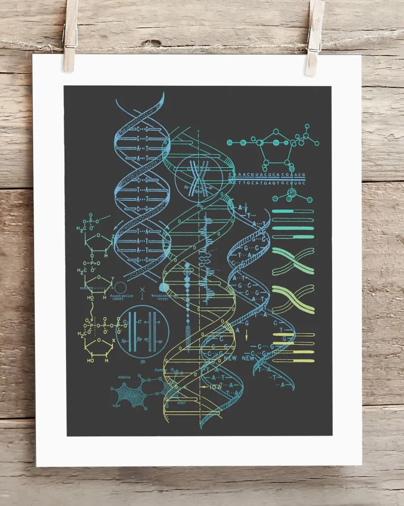 Cognitive Surplus Genetics: DNA Museum Print | Pharmacist Gift* Wall Art | Microbiology