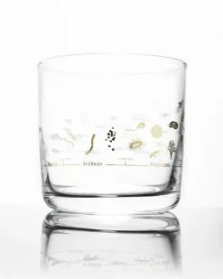Cognitive Surplus Geologic Time Scale Whiskey Glass - Scotch Glass | * Rocks Glasses | Paleontology