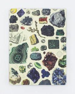 Cognitive Surplus Geology Notebook - Hardcover | Geologist Gift* The Hypothesis | Geology + Earth Science