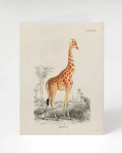 Cognitive Surplus Giraffe Greeting Card - Science Stationery | * Greeting Cards | Biology