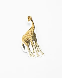 Cognitive Surplus Giraffe Sticker* Stickers | Biology