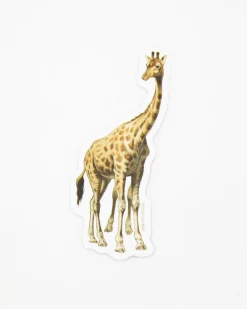 Cognitive Surplus Giraffe Sticker* Stickers | Biology