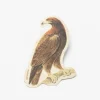 Cognitive Surplus Golden Eagle Sticker* Stickers | Ornithology