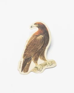 Cognitive Surplus Golden Eagle Sticker* Stickers | Ornithology